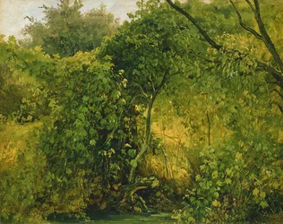 Bushes at Pillnitz